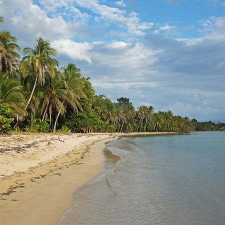 Residencia Natural Lejlighed Bocas del Toro Eksteriør billede