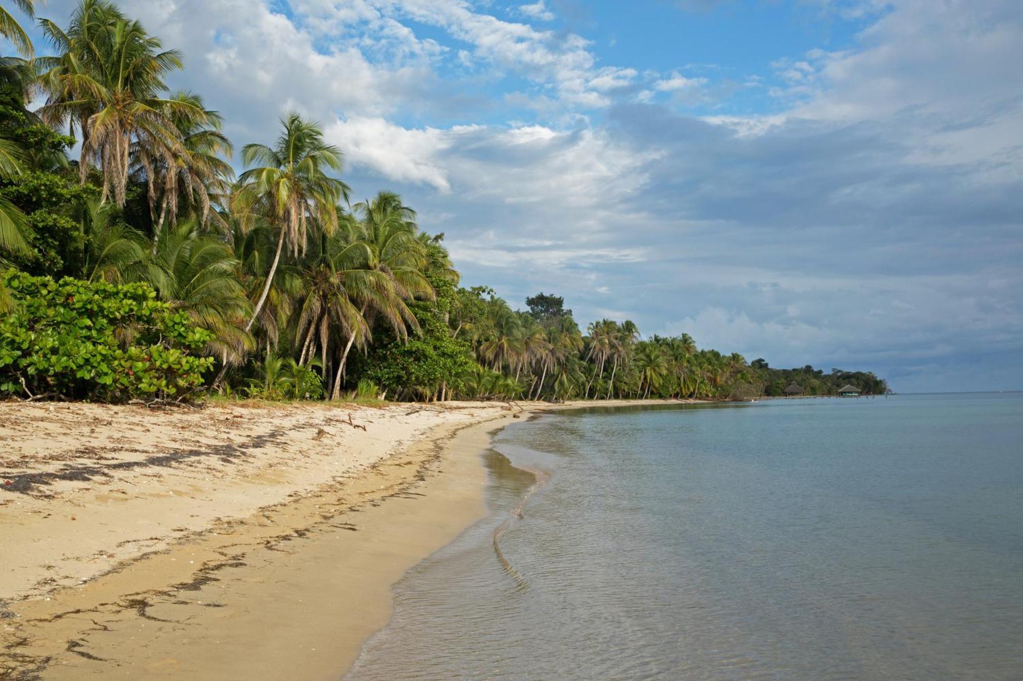 Residencia Natural Lejlighed Bocas del Toro Eksteriør billede